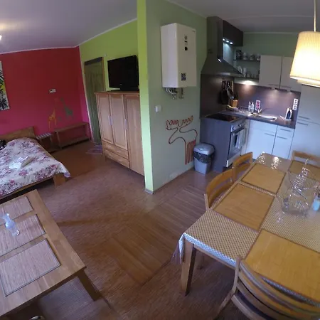 Studio Krusne Hory Klinovec Apartment Loučná pod Klínovcem