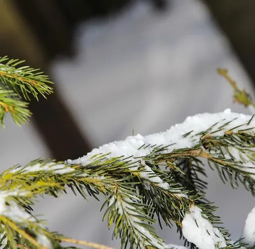 アパート Krusne Hory Klinovec